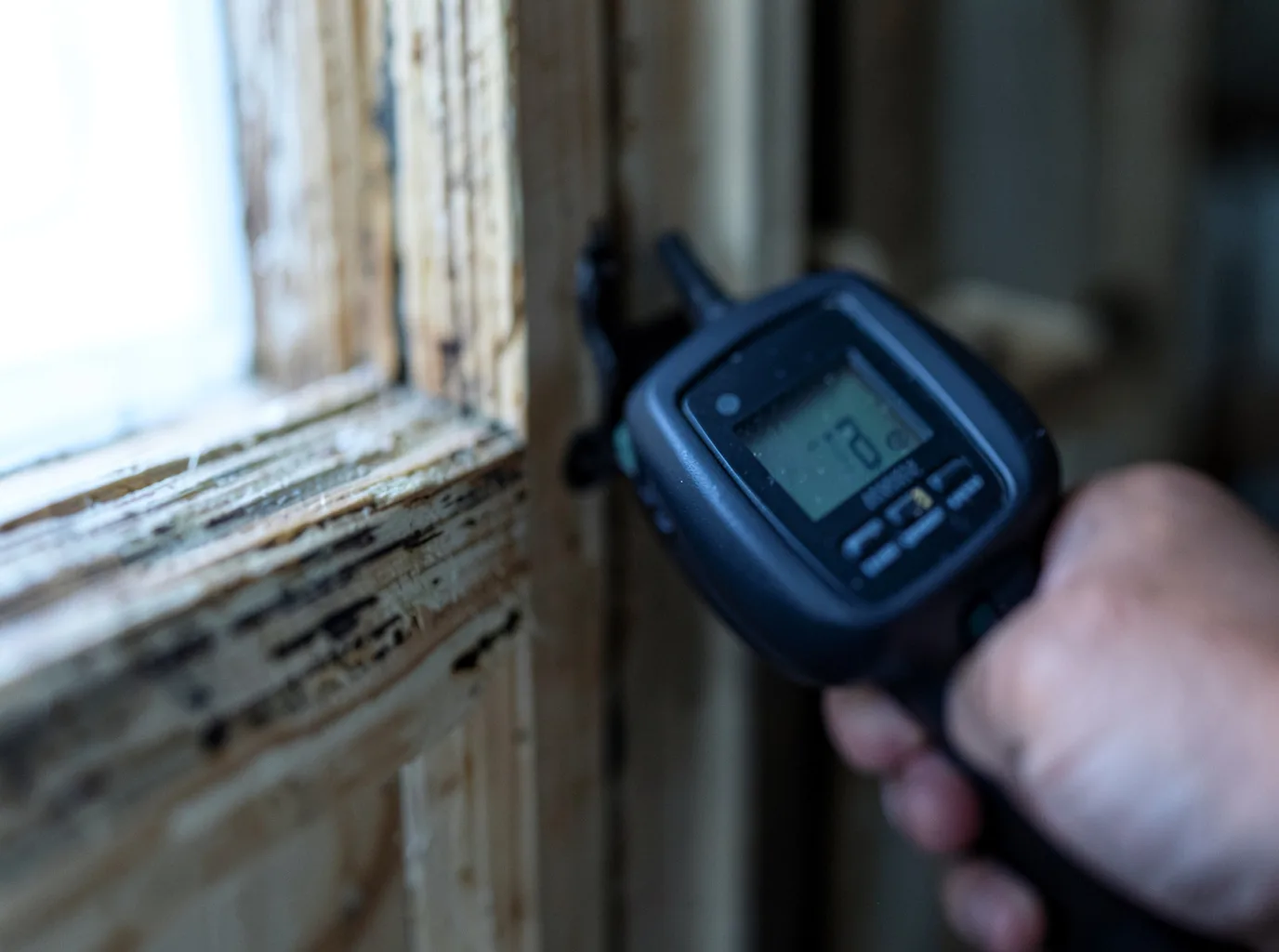 Moisture Inspection And Documentation in Loda, IL